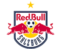 Red Bull Jerseys Shop